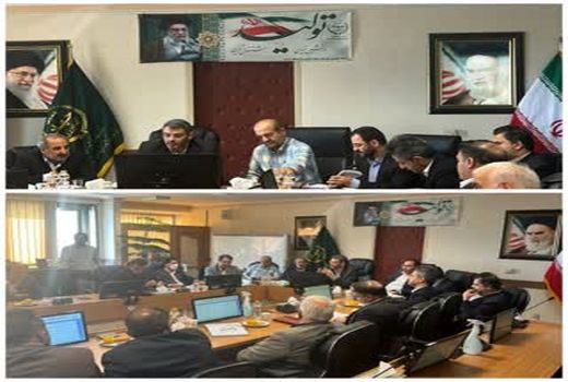 عرضه گوشت مرغ گرم از طریق سامانه ستکاوا آغاز می شود