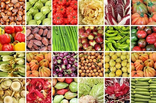 توسعه ملی سرمایهگذاری در بخش ارگانیک را تا ۲۰۰ میلیون دلار افزایش میدهد