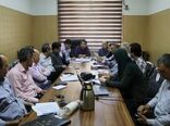 قزوین آماده اجرای الگوی کشت پاییزه؛ برنامه‌ریزی برای کشت ۲۱۰ هزار هکتار محصول
