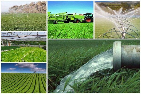 60 درصد جمعیت استان ایلام در بخش کشاورزی مشغول به فعالیت هستند