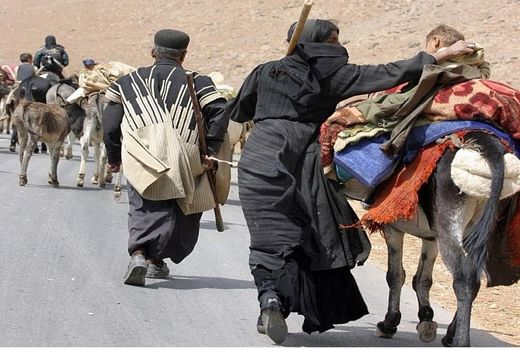 نیروی انتظامی مسوول تامین امنیت کوچ عشایر است