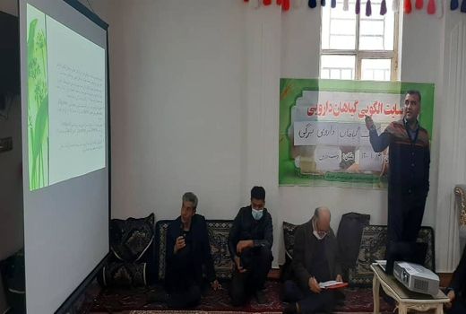 برگزاری دوره‌های مهارتی کشت گیاهان دارویی در دشت زرین کوهرنگ