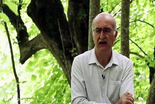  ظرفیت تولید ده‌ها میلیارد اصله نهال با مشارکت مردم