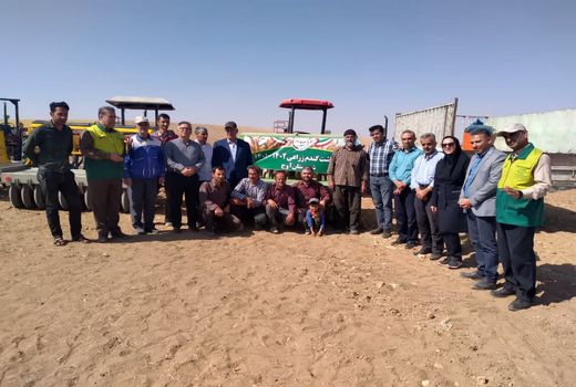 ایجاد ۴ سایت الگویی ترویجی گندم دیم در شهرستان آوج