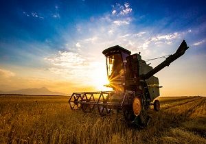 مسیر توسعه چهارمحال و بختیاری از کشاورزی می گذرد 