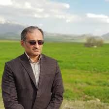 آغاز عملیات برداشت دانه روغنی کلزا در شهرستان قصرشیرین