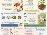 راهکارهای افزایش عملکرد محصول بادام 
