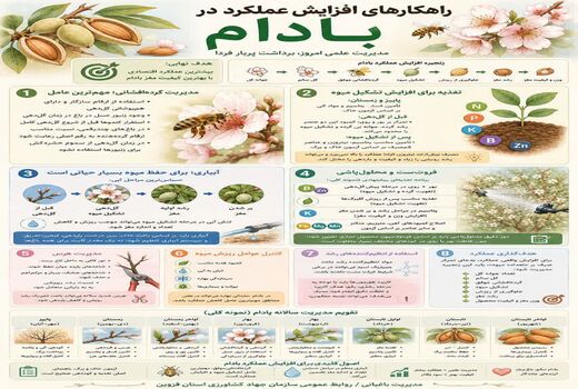 راهکارهای افزایش عملکرد محصول بادام 
