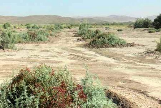 ۴۵۰ هزار هکتار از اراضی غبارخیز آذربایجان‌غربی از حالت بحران خارج شدند
