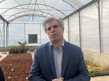 توسعه نهال‌های گواهی‌شده؛ شاه‌کلید افزایش درآمد و ارزآوری برای باغداران