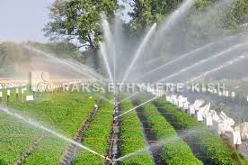 ارتقاء 20 پله ای استان اردبیل در اجرای سیستم های نوین آبیاری تحت فشار 