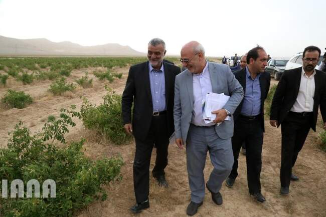 سفر وزیر جهاد کشاورزی به شهرستان میمه، استان اصفهان
