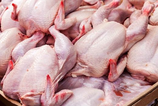 قیمت مصوب مرغ برای مصرف کننده 24 هزار و 900 تومان است