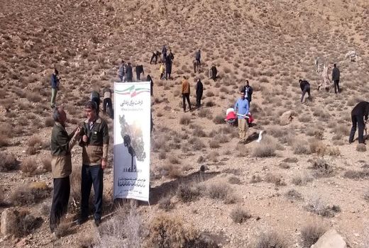عملیات احیاء پوشش گیاهی بیولوژیک و بیومکانیک در مراتع استان سمنان آغاز شد