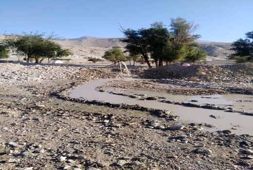 قناتی خشک پس از 200 سال در خنج احیا شد