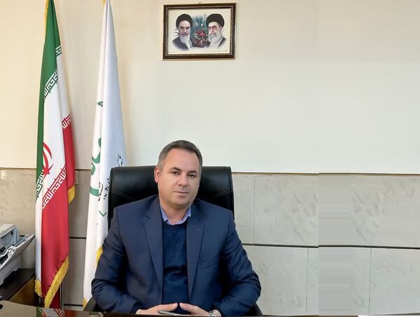 آغاز خرید حمایتی مرغ مازاد تولید در استان فارس