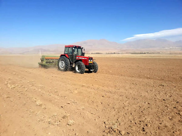 کشاورزان از فرصت بارش‌های پیشِ‌رو برای تکمیل کشت پاییزه استفاده کنند
