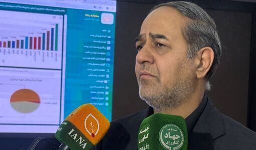دولت به‌دنبال کمترین افزایش قیمت گندم صنف و صنعت