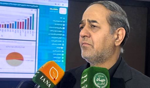 دولت به‌دنبال کمترین افزایش قیمت گندم صنف و صنعت