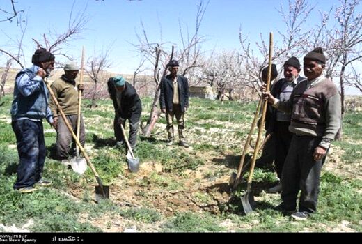 پوشش بیمه اجتماعی زنان خراسان شمالی از کشور بالاتر است