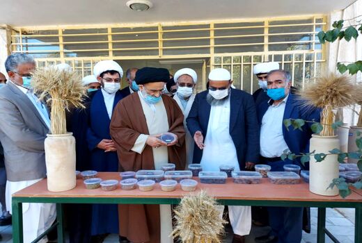 تولید ٢٠ هزار اصله نهال موز در ایستگاه تحقیقات کشاورزی بلوچستان
