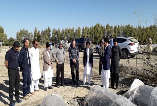 باغ مادری میوه های گرمسیری و نیمه گرمسیری در سیستان و بلوچستان ایجادمی شود