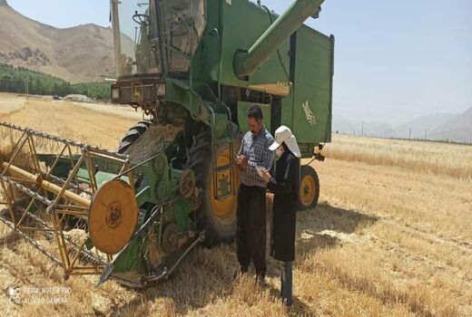 فعالیت ۱۲ دستگاه کمباین برای برداشت غلات در شهرستان فارسان