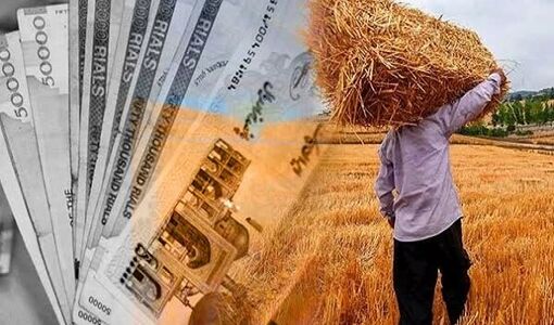   واریز یارانه نقدی کودهای فسفاته و پتاسه به حساب کشاورزان آذربایجان شرقی