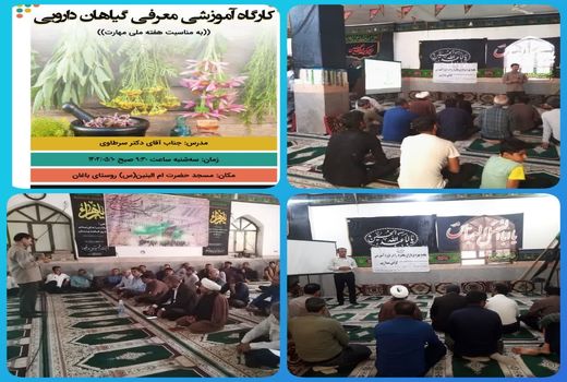 برگزاری کارگاه آموزشی آشنایی با گیاهان دارویی در شهرستان دشتی