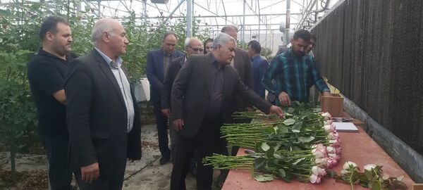 بازدید رئیس سازمان جهاد کشاورزی آذربایجان غربی از گلخانه هیدروپونیک