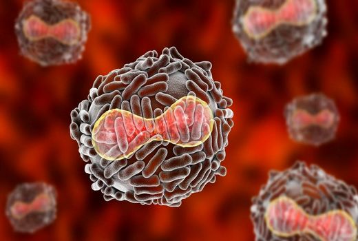 موسسه رازی موفق به کسب گواهی تایید جهانی برای تنها آزمایشگاه مرجع بین‌المللی آبله کشور شد