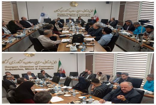 برگزاری دومین جلسه میز کشوری توتون در استان گلستان