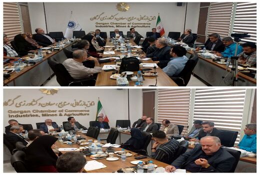 برگزاری دومین جلسه میز کشوری توتون در استان گلستان