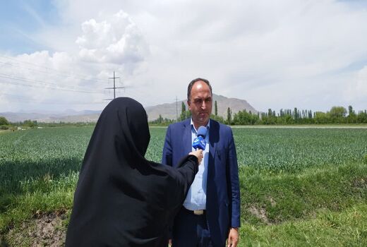 مبارزه با سن مادری گندم در آذربایجان‌غربی به ۱۴۴ هزار هکتار رسید