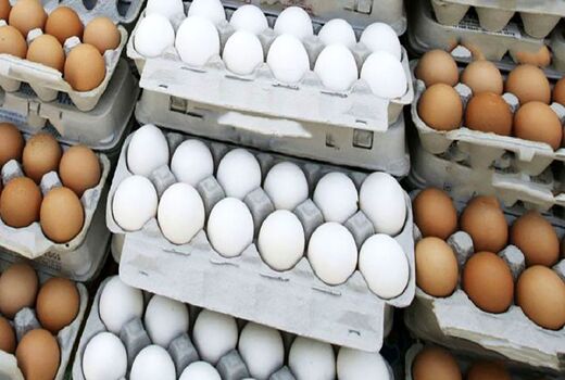 صادرات ۲ هزار تن تخم مرغ از اصفهان به خارج از کشور