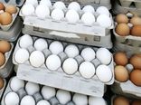 صادرات ۲ هزار تن تخم مرغ از اصفهان به خارج از کشور