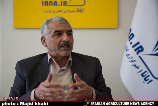 مجری طرح گندم: دولت از حمایت ها دریغ نکند، کشورهای عضو اتحادیه اروپا سالانه 600 میلیارد دلار به بخش کشاورزی یارانه پرداخت می‌کنند/استاد اقتصاد دانشگاه: حمایت ازبخش کشاورزی در تمام دنیا ویژه است