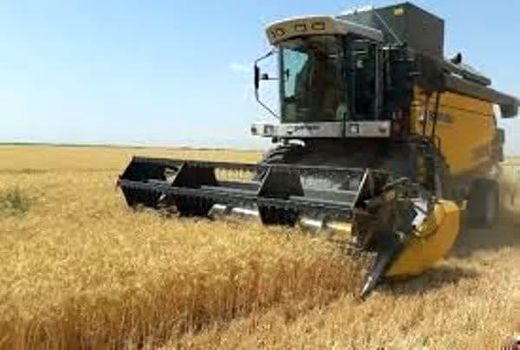 ضرورت تجهیز کمباین ها به سامانه پایش تلفات