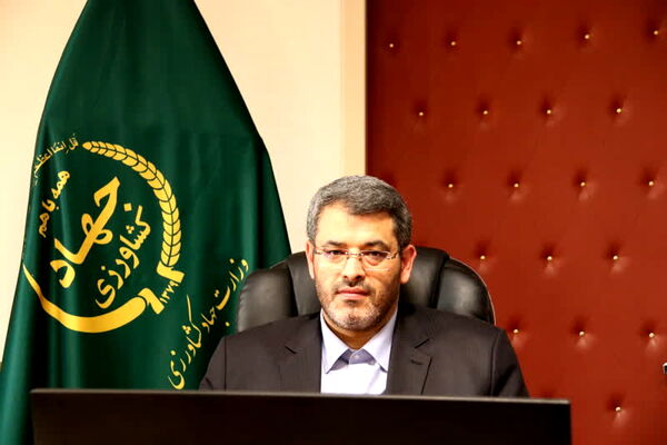 عرضه گسترده مرغ منجمد عمده با قیمت ۴۰ هزار تومان در بازار