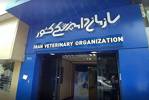 سازمان دامپزشکی در تقاطع قانون و ساختار / واکاوی پیامدهای تصویب‌نامه جدید شورای عالی اداری

