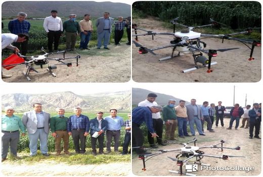 محلول پاشی مزرعه گندم با پهپاد در پاسارگاد