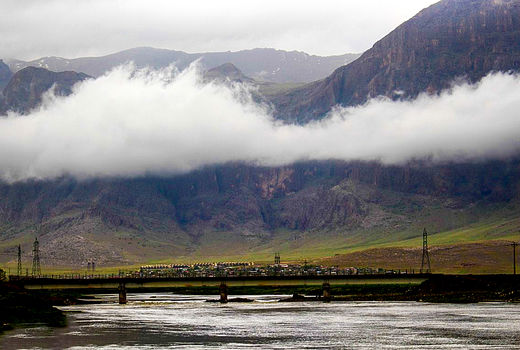 باران حال بلوط‌های کرمانشاه را خوب کرد