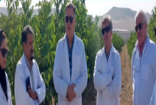 توسعه گلخانه ها و سایبان ها از الویت های وزارت جهاد کشاورزی است