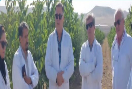 توسعه گلخانه ها و سایبان ها از الویت های وزارت جهاد کشاورزی است