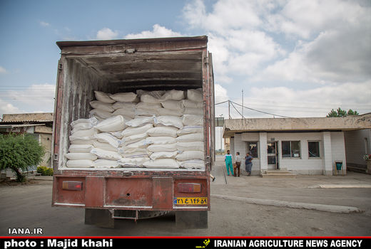 سهمیه آرد عشایر استان بوشهر کافی نیست/ لزوم تامین آب مناسب