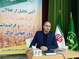 3175 میلیارد تومان بازده اقتصادی طرح جهش تولید در دیمزارهای آذربایجان غربی است