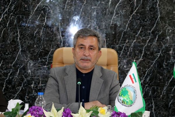 تولید محصول کلزا در کشور نسبت به سال گذشته کاهش یافت