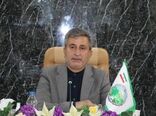 تولید محصول کلزا در کشور نسبت به سال گذشته کاهش یافت