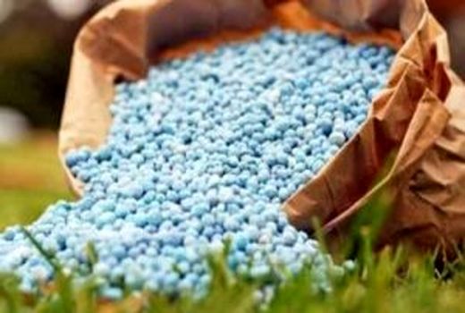 کود شیمیایی به تمام محصولات مندرج در الگوی کشت اختصاص می‌یابد/ افزایش ۲.۵ برابری تامین کود فسفاته