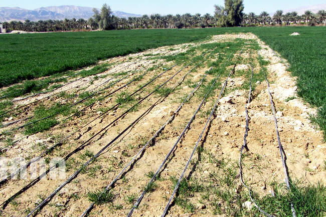 آبیاری قطره‌ای
